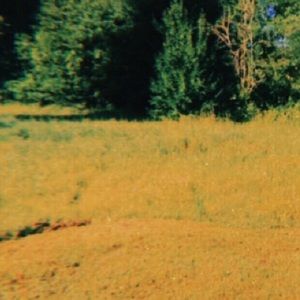 Meet your Posher, Logan